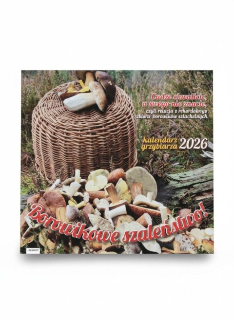 Kalendarz ścienny wieloplanszowy 300mm x 300mm Avanti (5901769621138)