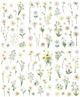 Naklejka (nalepka) Craft-Fun Series Stokrotki foliowe Titanum (25MD004)