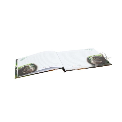 Notes (notatnik) Starpak (479586)