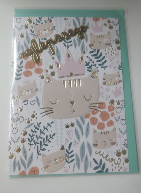 Kartka składana B6 KOTY PATTERN B6 Henry (5908451980672)