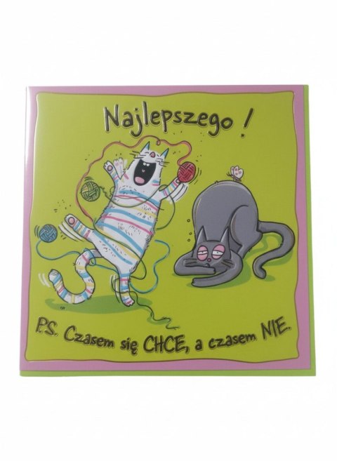 Kartka składana KW KOTKI PSOTKI kw Henry (5908451981846)