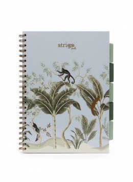 Kołozeszyt (kołonotatnik) AFRYKA pastelowy niebieski A4 100k. 80g krata Strigo (PADS068)