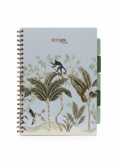 Kołozeszyt (kołonotatnik) AFRYKA pastelowy niebieski A4 100k. 80g krata Strigo (PADS068)