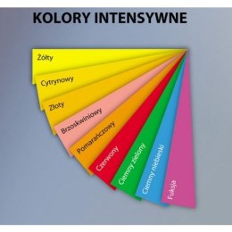 Papier kolorowy kolorowy 8021 A4 pomarańczowy 80g Emerson (xem408021)