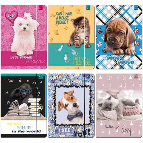 Teczka kartonowa na gumkę A4 mix Ev-corp (TA4BF1)