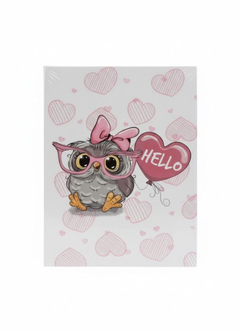 Album kieszeniowy Gedeon (DPH46304/2HELLOOWLPINK)