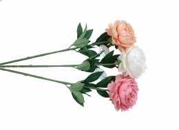 Kwiaty piwonia 68cm mix Home And Garden (2991)