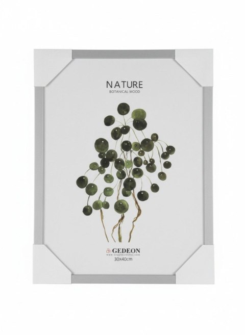 Ramka [mm:] 300x400 Gedeon (D330)