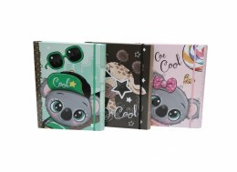 Teczka kartonowa na gumkę 4cm z gumką-BE COOL B4 mix VauPe (310/95)