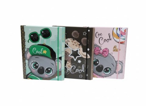 Teczka kartonowa na gumkę 4cm z gumką-BE COOL B4 mix VauPe (310/95)