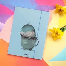 Teczka kartonowa na gumkę wieloryb A4 różne 270g Narcissus