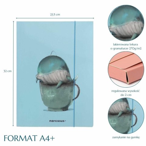 Teczka kartonowa na gumkę wieloryb A4 różne 270g Narcissus