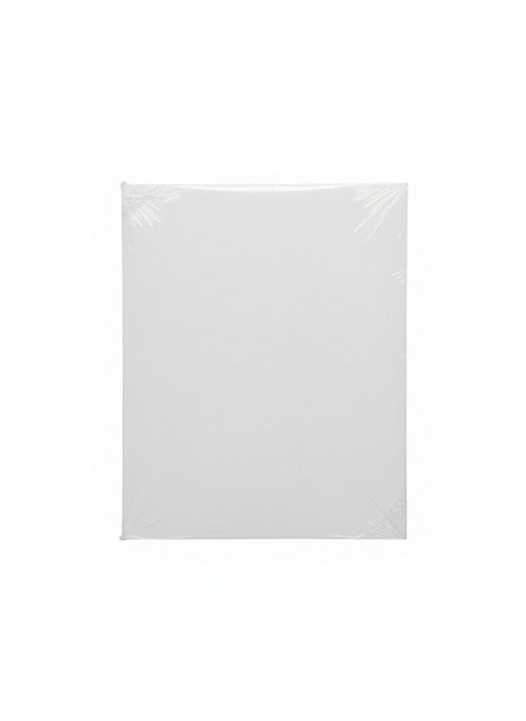 Teczka kartonowa wiązana A4 biały 300g Barbara (0821034)