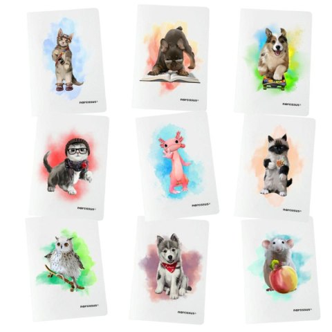 Zeszyt PP A5 32k. 80g KRATKA Narcissus