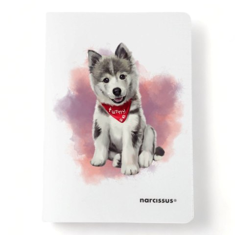 Zeszyt PP A5 32k. 80g KRATKA Narcissus