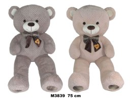 Pluszak miś 2 kolory Sun-Day (172686)