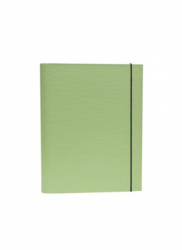 Teczka kartonowa na gumkę PasteLove z gumką B4 limonka VauPe (P/310/31)