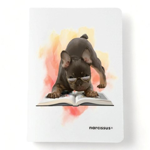 Zeszyt PP A5 60k. 80g krata Narcissus