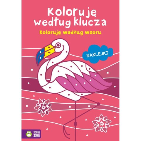 Książeczka edukacyjna Zielona Sowa Koloruję według klucza. Koloruję według wzoru Książeczka edukacyjna Zielona Sowa Koloruję według klucza. Koloruję według wzoru