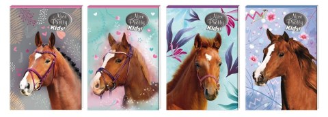 Notes (notatnik) Nice&Pretty A6 30k. [mm:] 102x148 Beniamin (6094494)