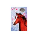 Notes Nice&Pretty A6 30k. [mm:] 102x148 Beniamin (6094494)