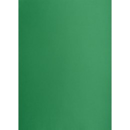 Brystol zielony ciemny B2 zielony 225g 25k Creatinio (400150339)