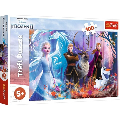 Puzzle Trefl Frozen kraina przyjażni 100 el. (16366) Puzzle Trefl Frozen kraina przyjażni 100 el. (16366)