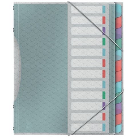 Teczka z przegródkami Esselte colour ice segregująca A4 kolor: niebieski 6 przegródek (626256) Teczka z przegródkami Esselte colour ice segregująca A4 kolor: niebieski 6 przegródek (626256)