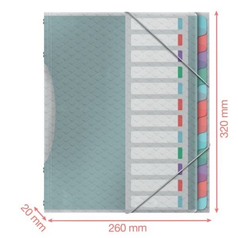 Teczka z przegródkami Esselte colour ice segregująca A4 kolor: niebieski 6 przegródek (626256) Teczka z przegródkami Esselte colour ice segregująca A4 kolor: niebieski 6 przegródek (626256)