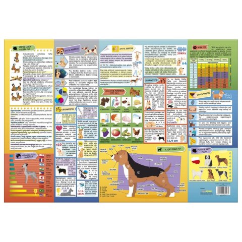 Podkład na biurko psy różnokolorowy karton pokryty folią [mm:] 345x500 Derform (POEPS)