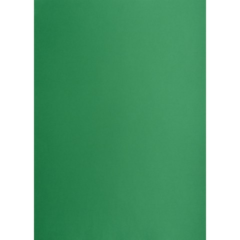 Brystol A3 ciemnozielony 160g 25k [mm:] 297x420 TOP-2000 (400150243)