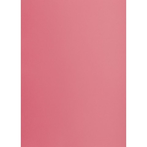 Brystol A1 różowy 160g 25k [mm:] 610x860 TOP-2000 (400149529)