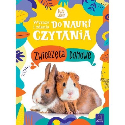 Książeczka edukacyjna Aksjomat Wyrazy i zdania do nauki czytania. Duże litery. Zwierzęta domowe Książeczka edukacyjna Aksjomat Wyrazy i zdania do nauki czytania. Duże litery. Zwierzęta domowe