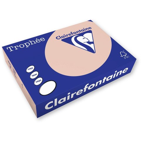 Papier kolorowy Trophee kolorowy A4 łososiowy 80g (xca41769) Papier kolorowy Trophee kolorowy A4 łososiowy 80g (xca41769)