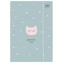 Teczka kartonowa na gumkę TRENDS GIRLS HOLOGRAM A4 mix Interdruk