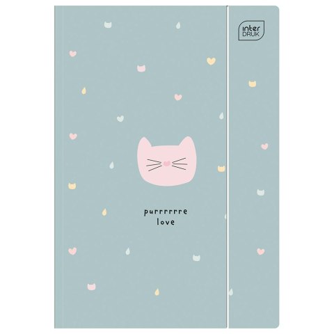Teczka kartonowa na gumkę TRENDS GIRLS HOLOGRAM A4 mix Interdruk Teczka kartonowa na gumkę TRENDS GIRLS HOLOGRAM A4 mix Interdruk