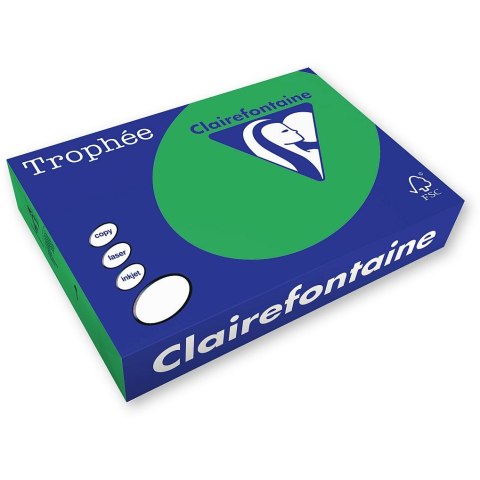Papier kolorowy Trophee 1991 A4 zielony 80g (xca41991) Papier kolorowy Trophee 1991 A4 zielony 80g (xca41991)