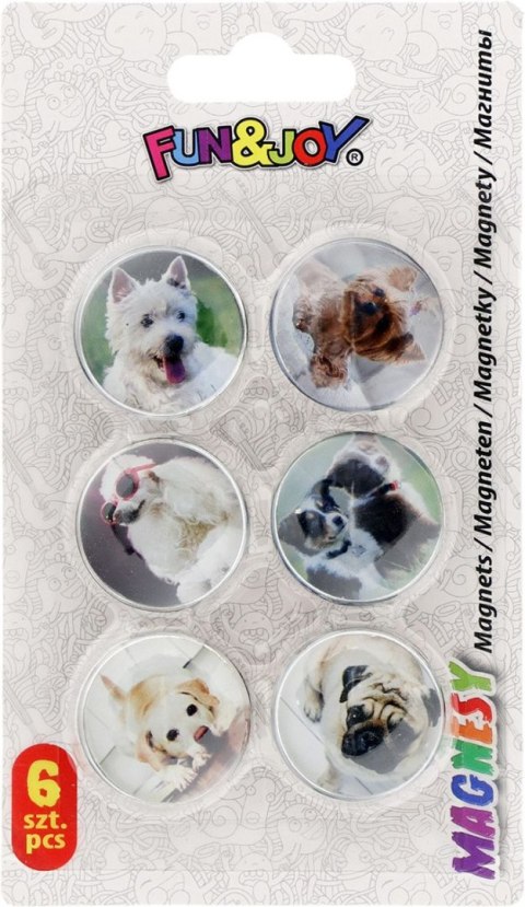 Magnes Fun&Joy PIES okrągły mix śr. 30mm 6 sztuk Magnes Fun&Joy PIES okrągły mix śr. 30mm 6 sztuk