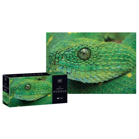 Puzzle Interdruk COLOURFUL NATURE 4 SNAKE 5902277342027 250 el. (250 el) Puzzle Interdruk COLOURFUL NATURE 4 SNAKE 5902277342027 250 el. (250 el)