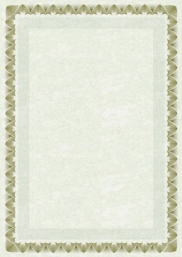 Dyplom Galeria Papieru arkady złote A4 170g (210717)
