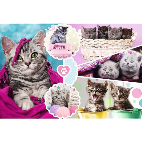 Puzzle 160 el. Trefl (15371)