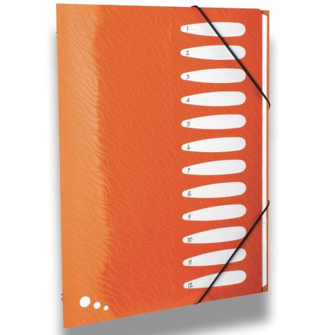 Teczka z przegródkami Elba Art Pop A4 kolor: mix 12 przegródek (400058483) Teczka z przegródkami Elba Art Pop A4 kolor: mix 12 przegródek (400058483)