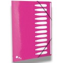 Teczka z przegródkami Elba Art Pop A4 kolor: mix 12 przegródek (400058483)