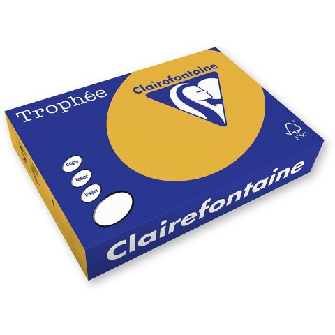 Papier kolorowy Trophee A4 brązowy wielbłądzi 80g (xca41879) Papier kolorowy Trophee A4 brązowy wielbłądzi 80g (xca41879)