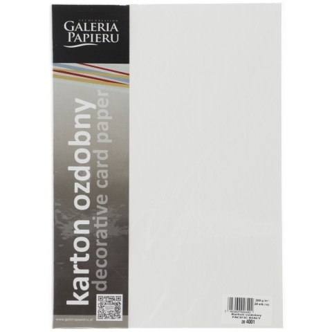 Papier ozdobny (wizytówkowy) Galeria Papieru pacific biały A4 biały 200g (204001) Papier ozdobny (wizytówkowy) Galeria Papieru pacific biały A4 biały 200g (204001)