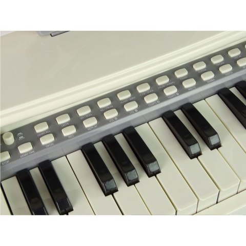 Organy Lean Elektryczne Pianinko Organy Turkusowe z Krzesłem 25 Klawiszy (10977) Organy Lean Elektryczne Pianinko Organy Turkusowe z Krzesłem 25 Klawiszy (10977)