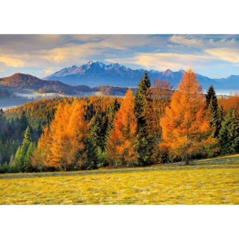 Kalendarz ścienny Pejzaże Polski rodzinny 2023 280mm x 200mm Lucrum (WL03) Kalendarz ścienny Pejzaże Polski rodzinny 2023 280mm x 200mm Lucrum (WL03)