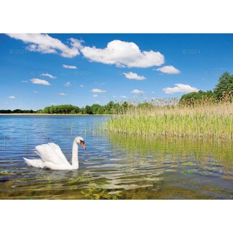 Kalendarz ścienny Pejzaże Polski rodzinny 2023 280mm x 200mm Lucrum (WL03) Kalendarz ścienny Pejzaże Polski rodzinny 2023 280mm x 200mm Lucrum (WL03)