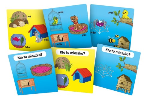 Gra edukacyjna Rebel BrainBox -Poznaję domy zwierząt (5902650616691) Gra edukacyjna Rebel BrainBox -Poznaję domy zwierząt (5902650616691)