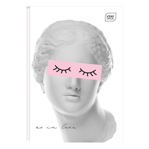 Brulion Interdruk A5 96k. 70g czysty (BRA5SZFG) Brulion Interdruk A5 96k. 70g czysty (BRA5SZFG)
